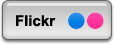 flickr logo